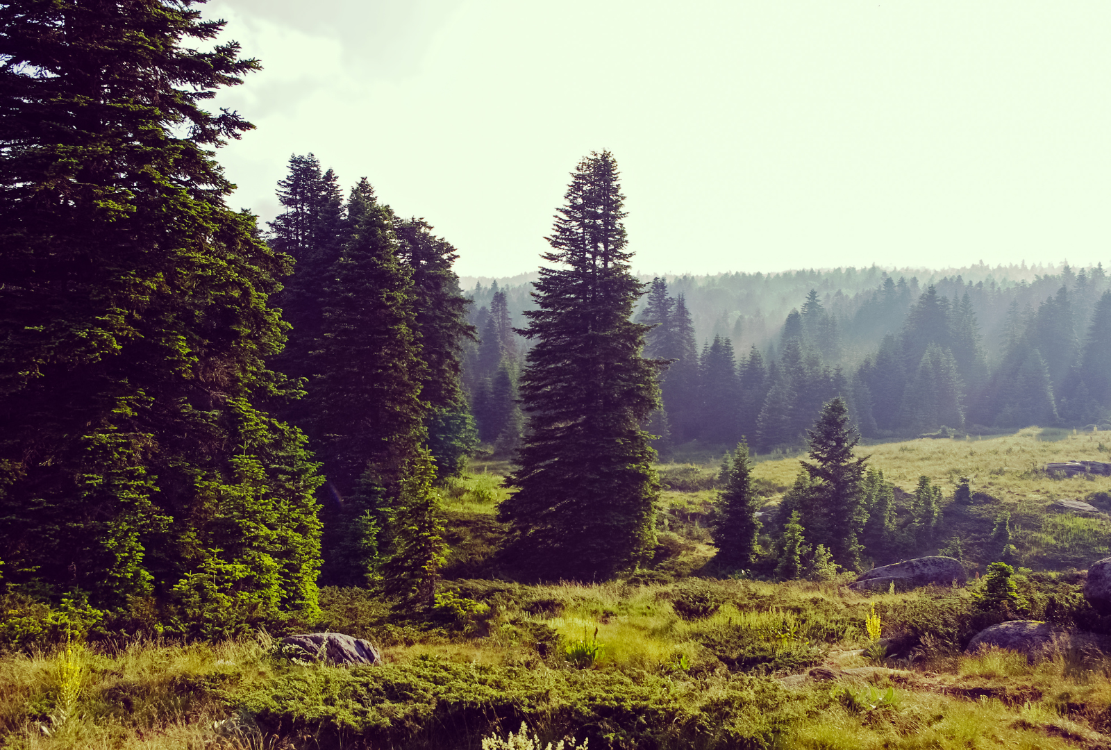 8 Days Best of Turkey