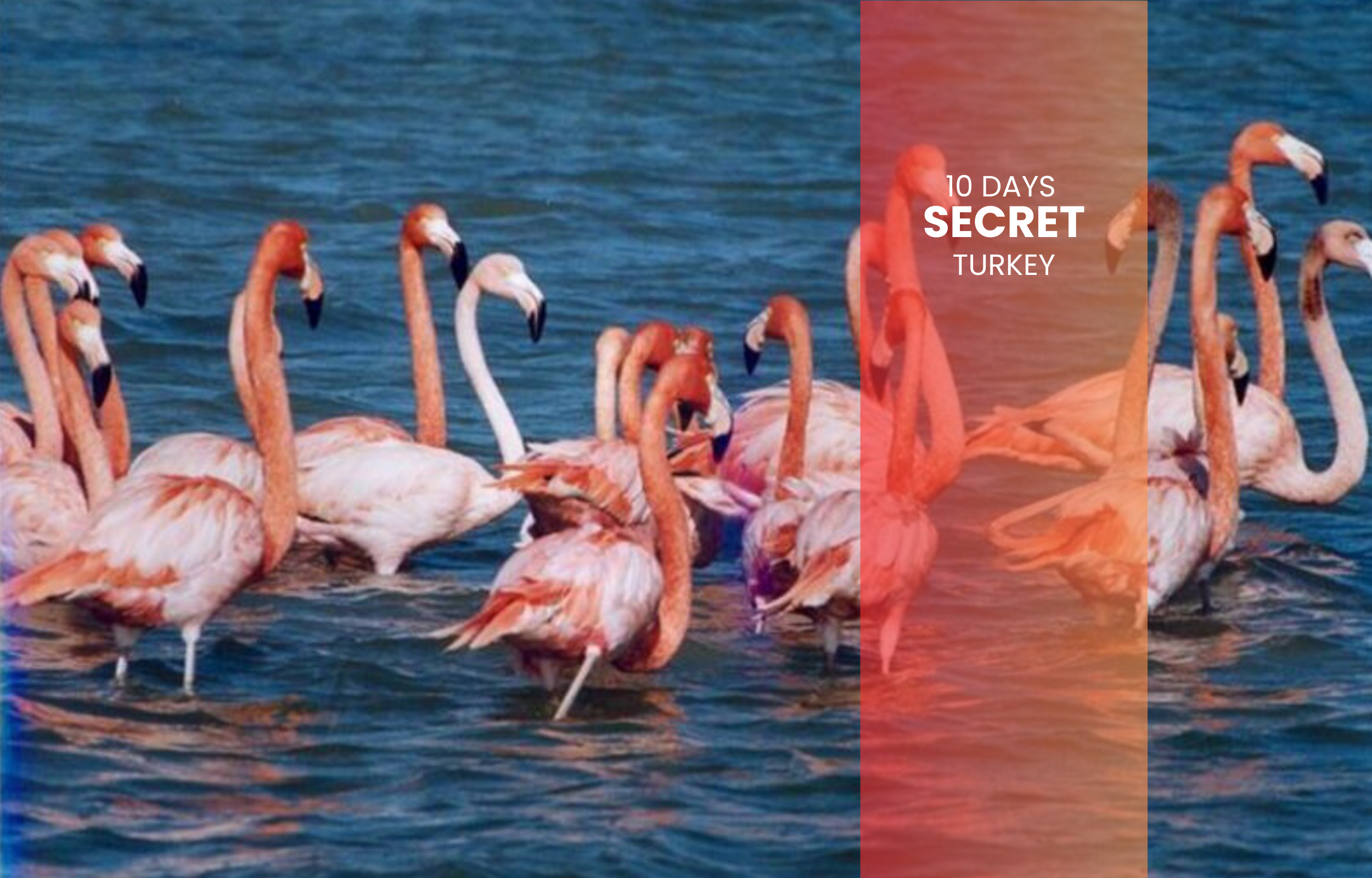 10 Days Secret Turkey